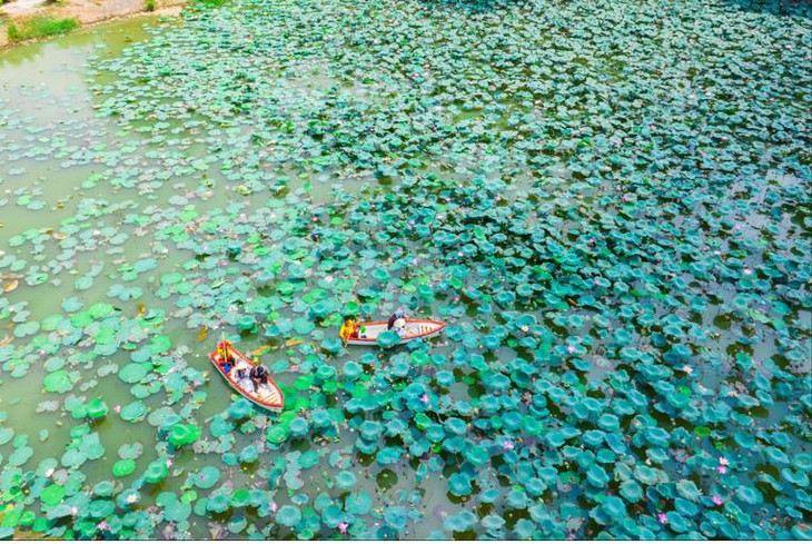 Sơn tiên - Ảnh 4.