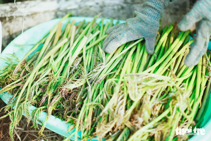 du lịch cộng đồng - Ảnh 7.