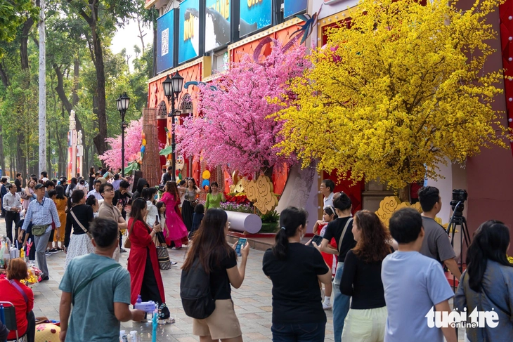 Tết sớm - Ảnh 4.