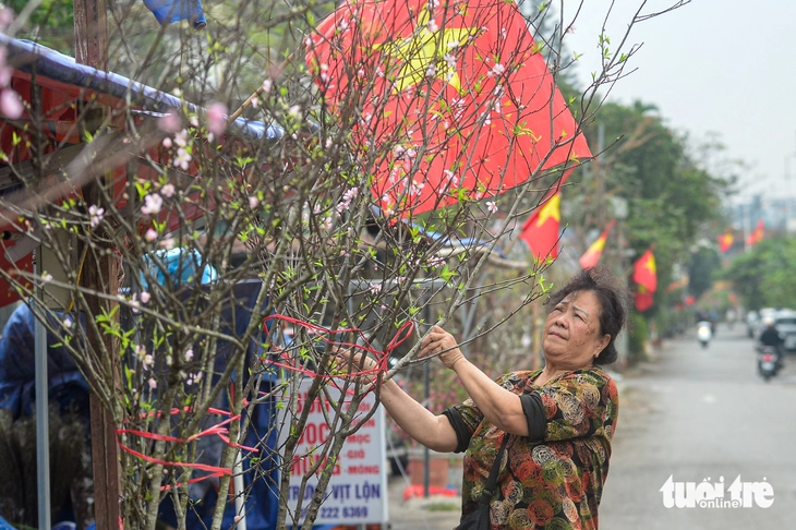 Đào rừng về Hà Nội, người chơi có mặn mà? - Ảnh 7.