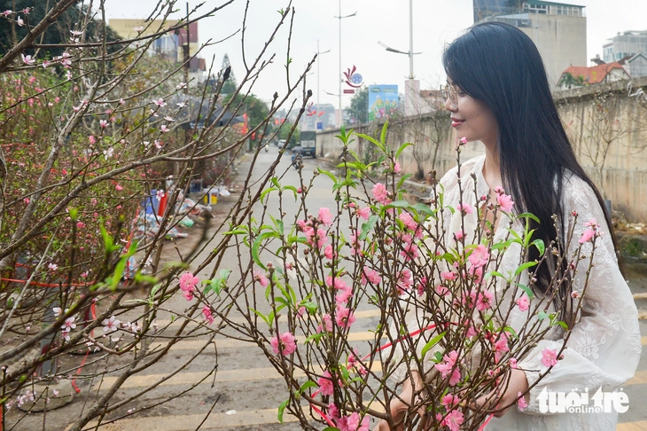 đào rừng - Ảnh 3.