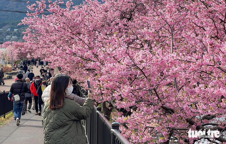 khách việt - Ảnh 2.