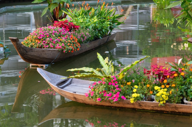 Tết sớm - Ảnh 12.