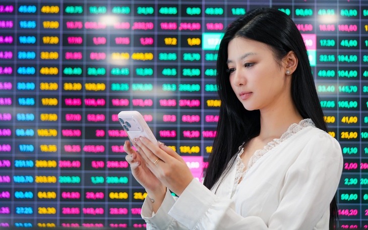 Cổ đông lớn nhất sàn chứng khoán Việt Nam thực sự là ai? - Ảnh 3.