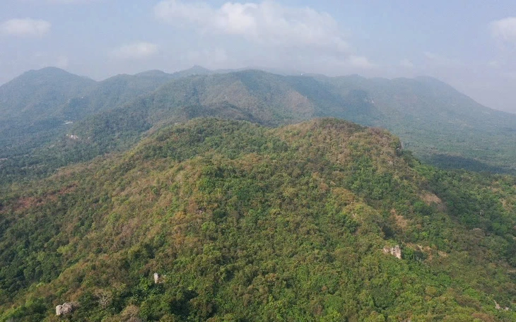 Những người thầm lặng 'ăn Tết rừng' để bảo vệ màu xanh nơi biên viễn - Ảnh 7.