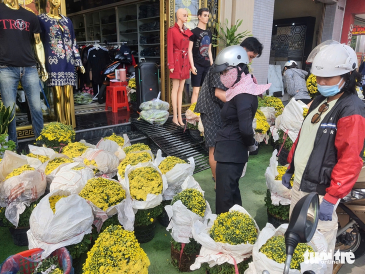 cúc mâm xôi - Ảnh 1.