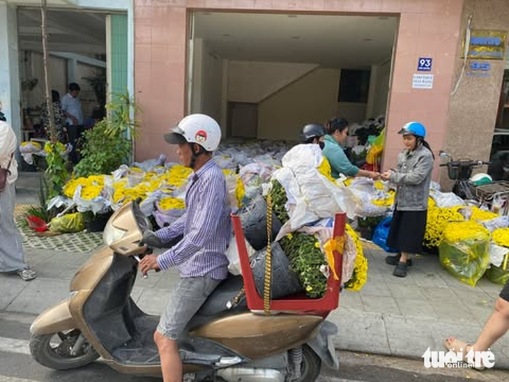 cúc mâm xôi - Ảnh 3.