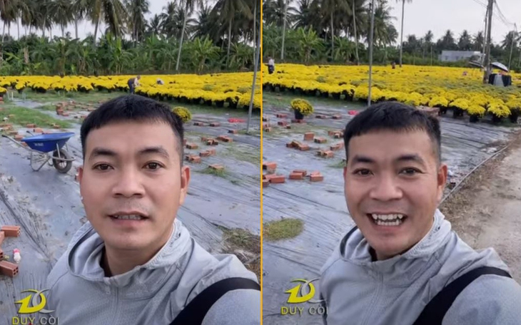 Một cây tre thành biểu tượng nghị lực vì cách mọc 'hổng giống ai' - Ảnh 3.