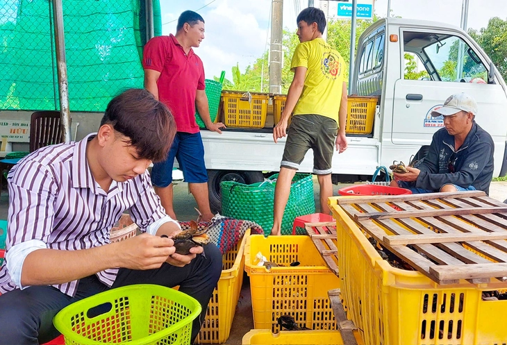 Bay Tết: mai, đào 'lên máy bay', giá vận chuyển từ 450.000 đồng/bó - Ảnh 2.