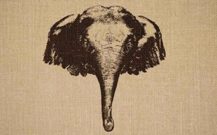 Thử tài IQ: Di chuyển một que diêm để 11+4=8 thành phép tính đúng - Ảnh 9.