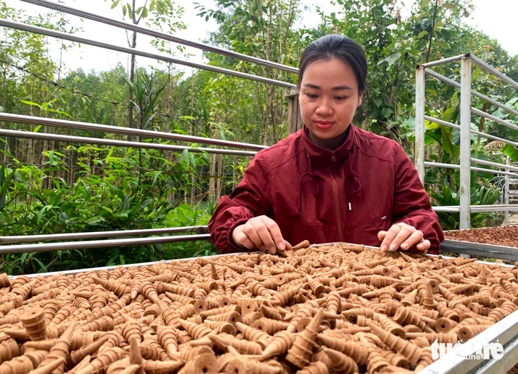 trầm hương - Ảnh 2.