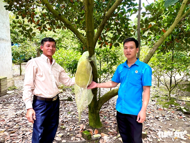 Nông dân phấn khởi, vì giá mít tăng gấp đôi vào dịp cận Tết - Ảnh 3.