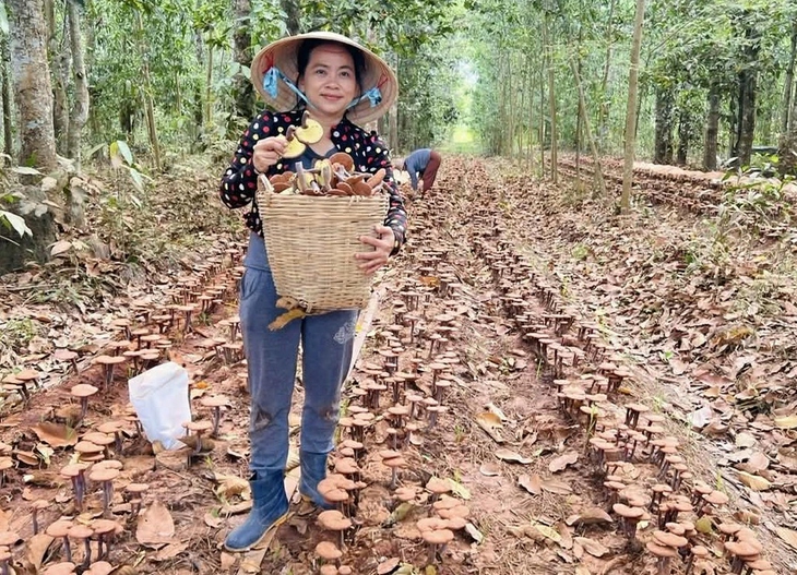 Hãy chăm một cái cây bằng tình yêu - Ảnh 3. Hãy chăm một cái cây bằng tình yêu - Ảnh 3.