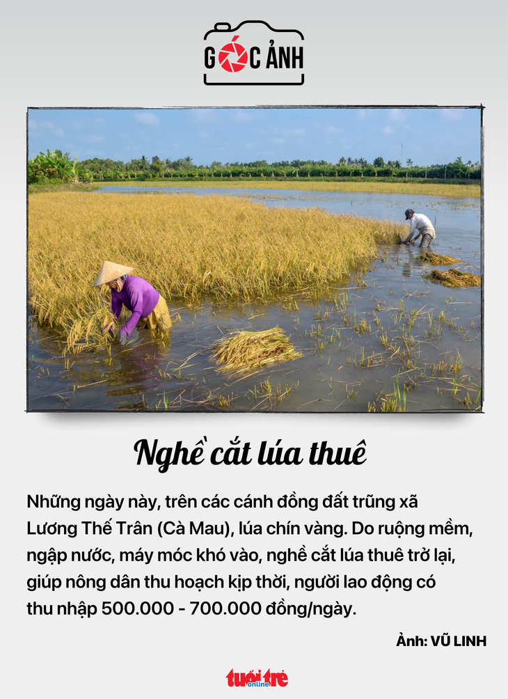 Tin tức sáng 24-1: Không được hưởng trợ cấp thất nghiệp khi đủ điều kiện hưởng lương hưu - Ảnh 6.