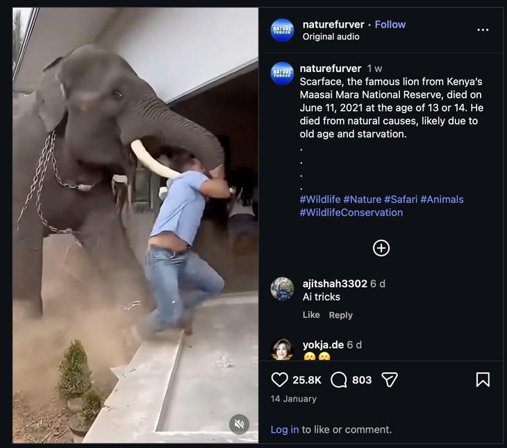 Video voi tấn công người ở Thái Lan lan truyền trên mạng liệu có thật? - Ảnh 1. Thái Lan - Ảnh 1.