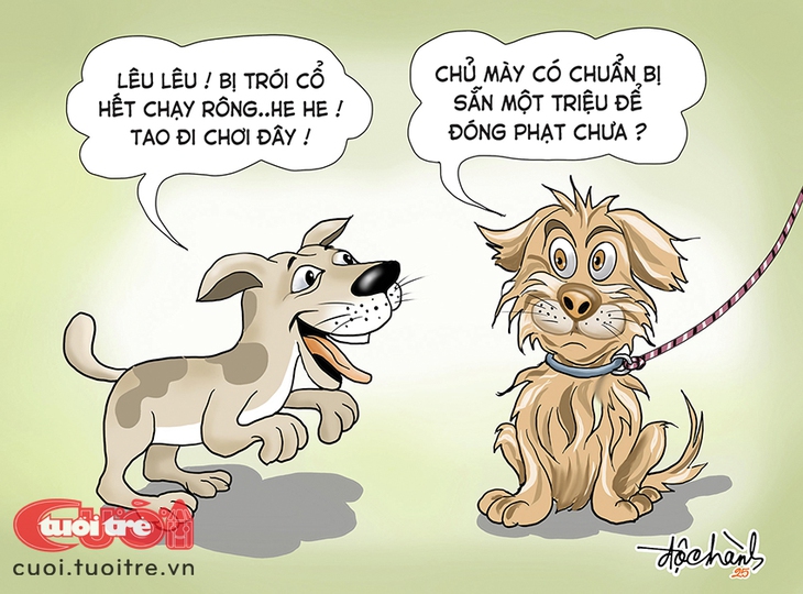 Chó hại chủ là đây! - Ảnh 1.