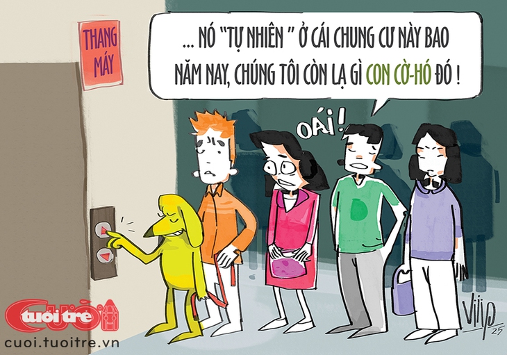 Chuyện về con 'cờ hó' trong chung cư - Ảnh 1.