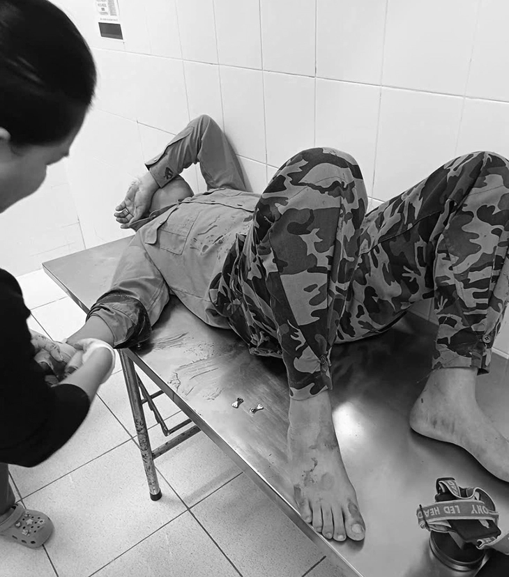 bảo vệ rừng - Ảnh 2.