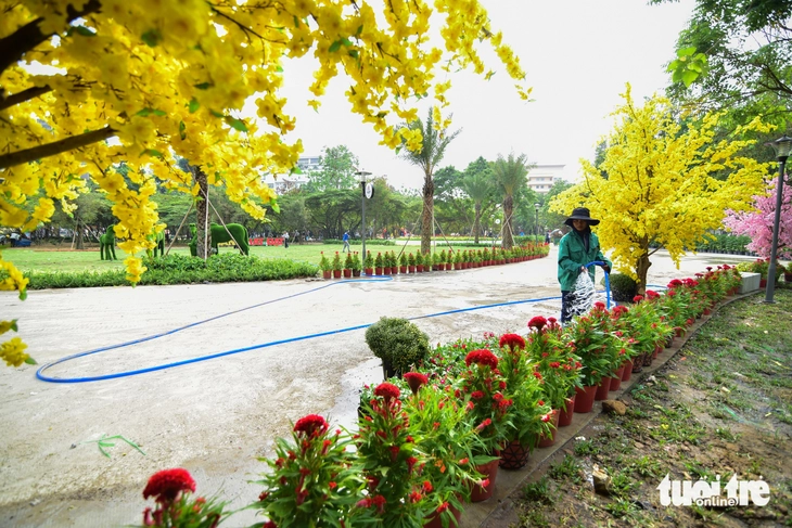 công viên - Ảnh 9.