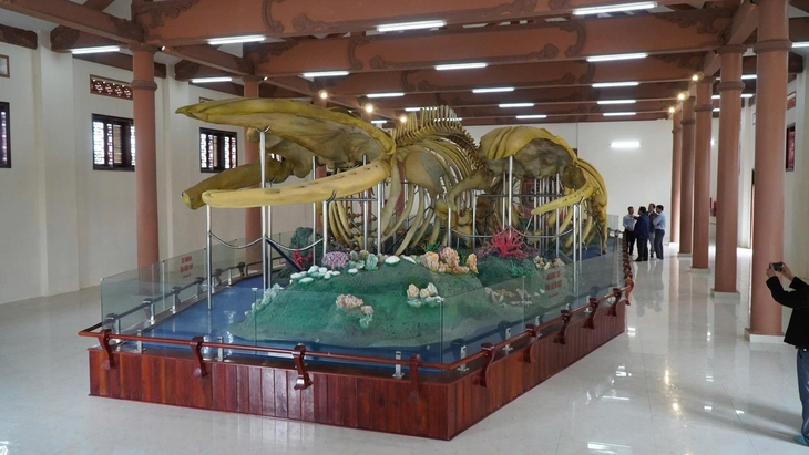 Hai bộ xương cá ông lớn nhất Việt Nam xuống cấp nhanh, rơi rụng như răng ông lão - Ảnh 1.