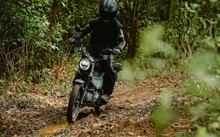 Ford triệu hồi gần 1,4 triệu xe bán tải do lỗi hộp số - Ảnh 1.