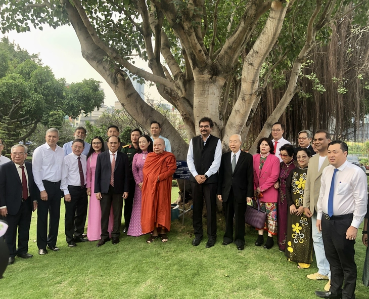 Cây bồ đề tình hữu nghị Việt - Ấn tròn 35 năm tuổi - Ảnh 3.