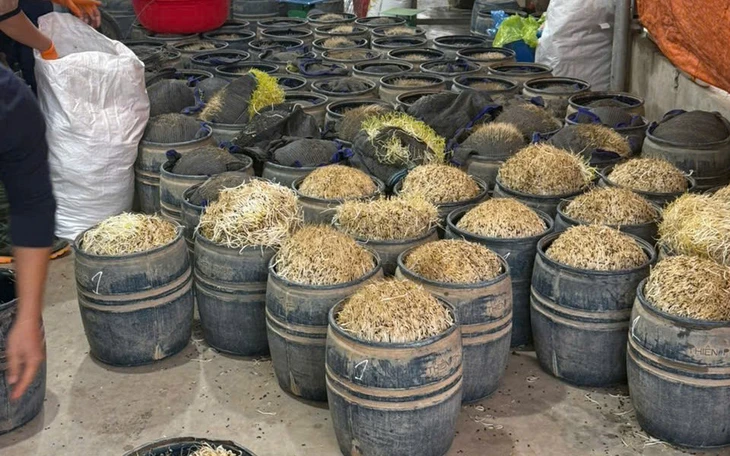 Khởi tố người phụ nữ làm giá đỗ bằng hóa chất độc hại, bán hơn 500 tấn ra chợ đầu mối - Ảnh 1.