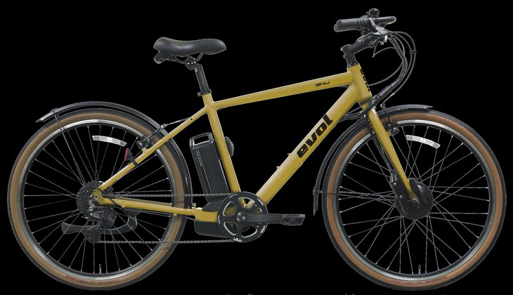 xe đạp điện - Ảnh 9.