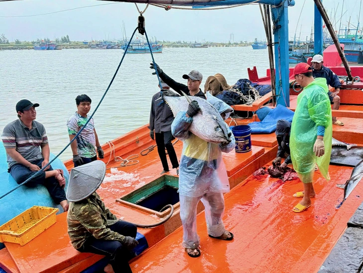 Đắk Lắk quảng bá du lịch từ cá ngừ và sầu riêng - Ảnh 2.