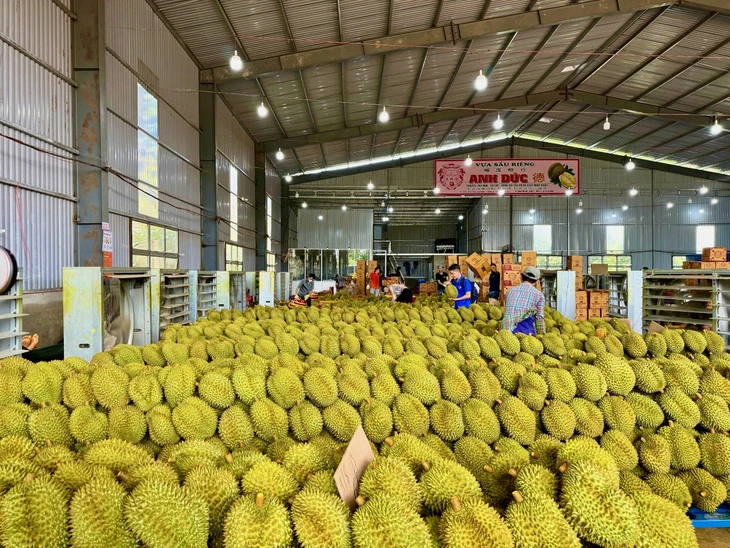 Đắk Lắk - Ảnh 3.