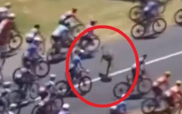 CAS ‘tạm tha’ cầu thủ nhập tịch Malaysia: sự thật phía sau quyết định gây sốc - Ảnh 4.