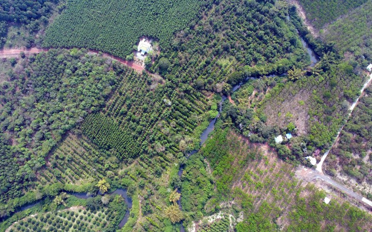 Đồng Nai thông qua 3 dự án giao thông 'khủng' tổng vốn hơn 110.00 tỉ đồng - Ảnh 4.