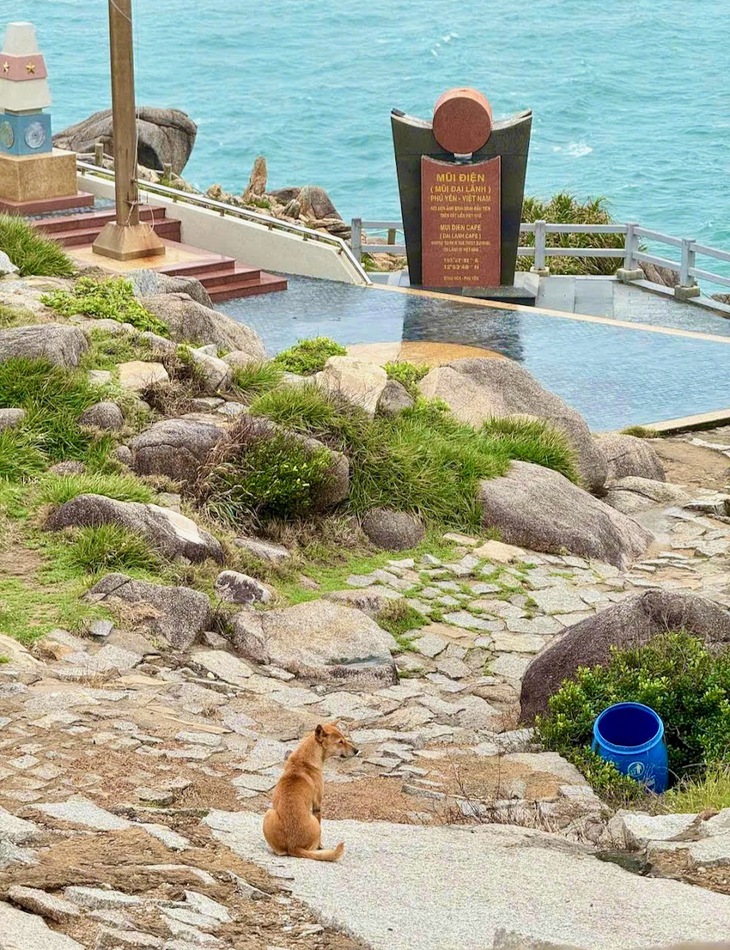 Mũi Điện - Ảnh 8.