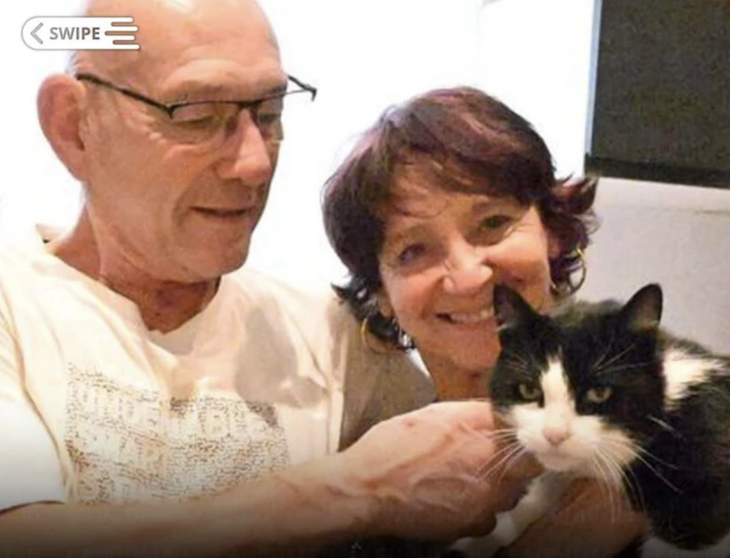 chú mèo - Ảnh 2.