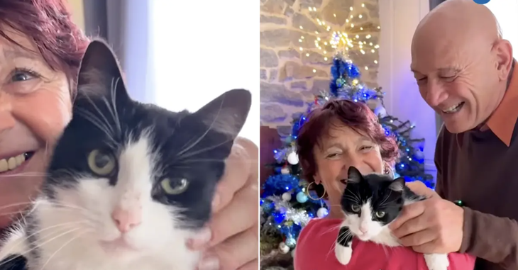 chú mèo - Ảnh 1.