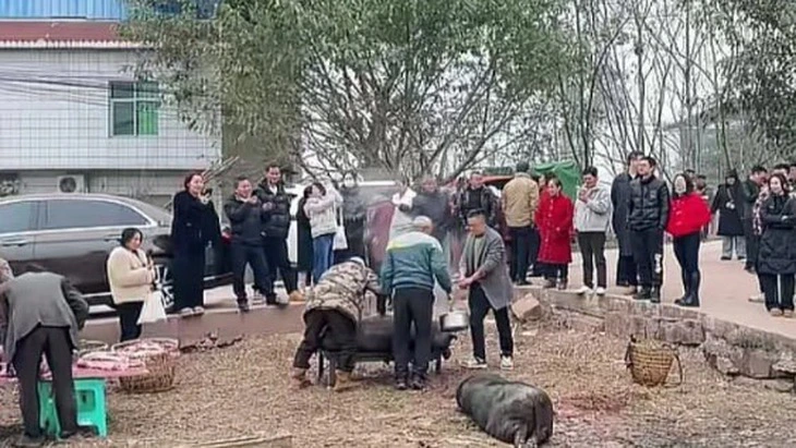 người lạ - Ảnh 2.