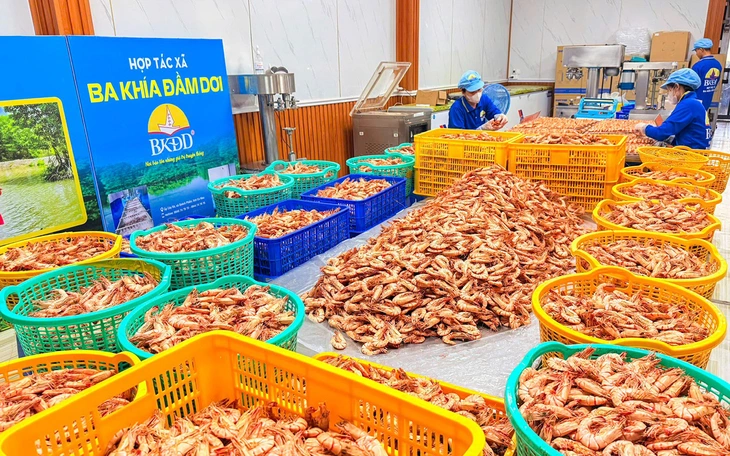 Săn đặc sản ăn chơi ngày Tết - Kỳ 4: Nhâm nhi má cá lóc một nắng, ốc gác bếp miền Tây - Ảnh 3.