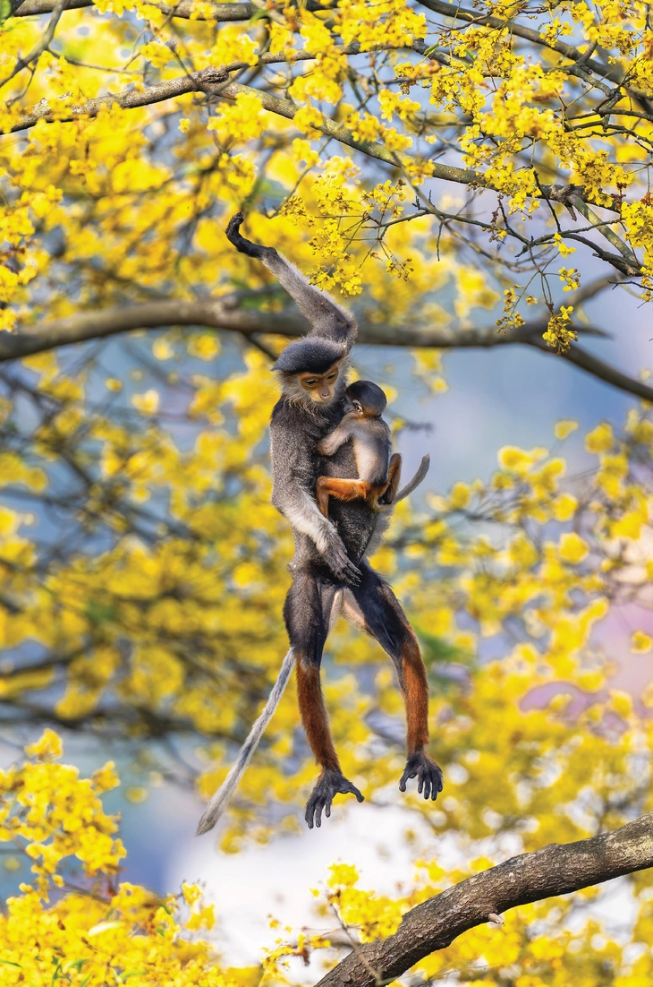 cuộc thi ảnh - Ảnh 2.