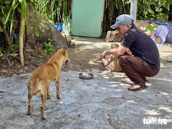 Mũi Điện - Ảnh 6.