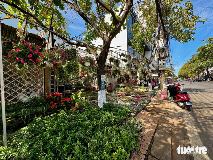 vỉa hè - Ảnh 2.