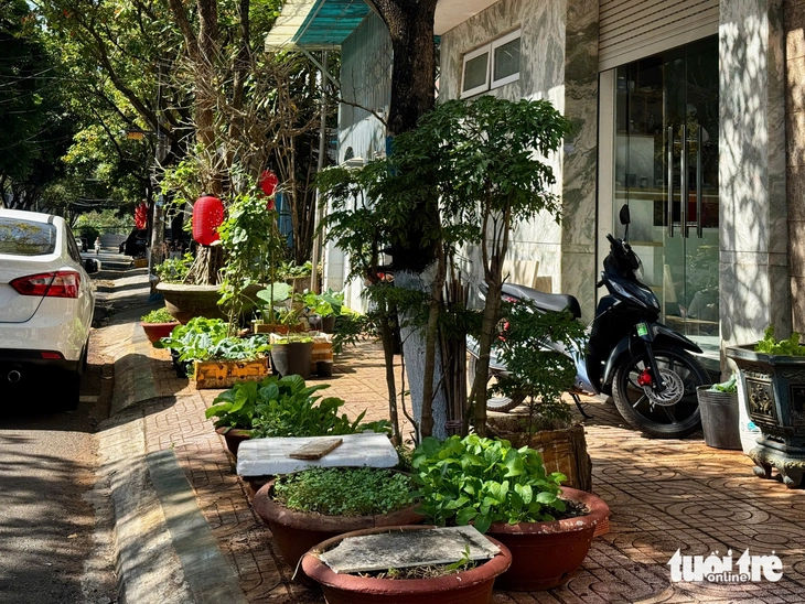 vỉa hè - Ảnh 5.