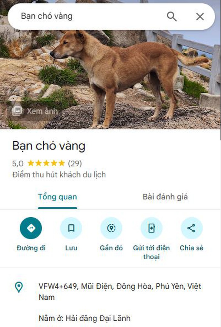 chú chó - Ảnh 2.