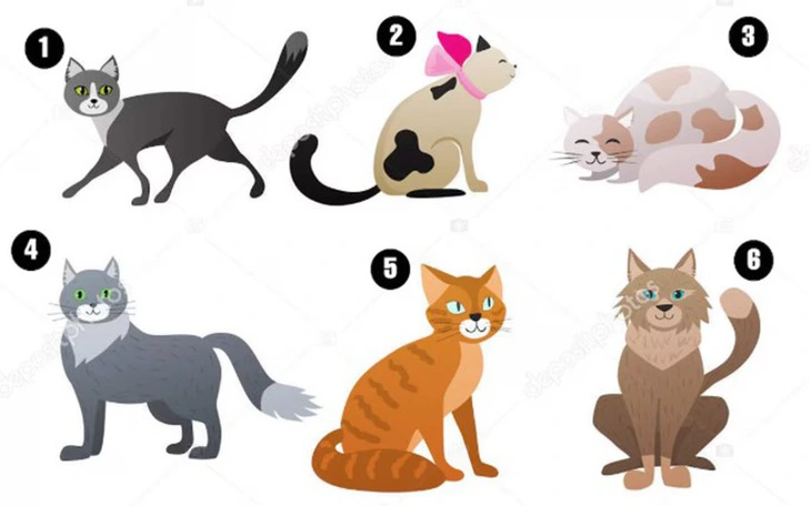 Quiz: Mọi người nói gì về bạn? - Ảnh 3.