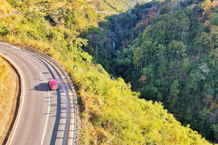 măng đen - Ảnh 4.