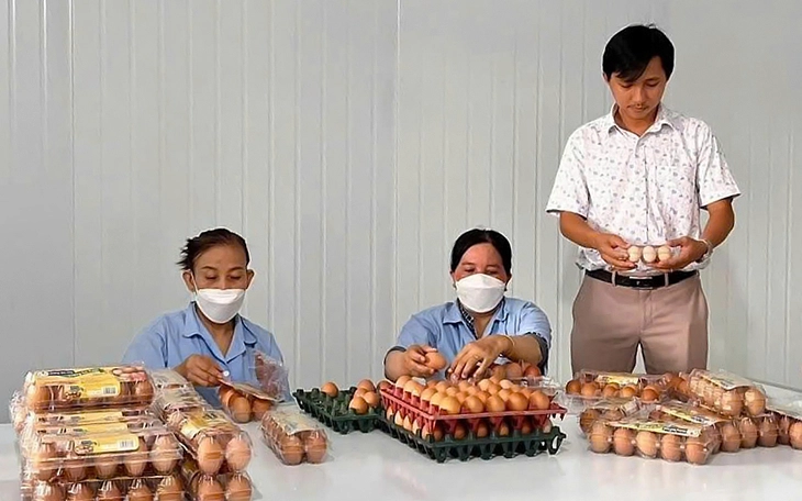 Tôm khô hút hàng và được giá nhưng khan hiếm nguyên liệu - Ảnh 3.