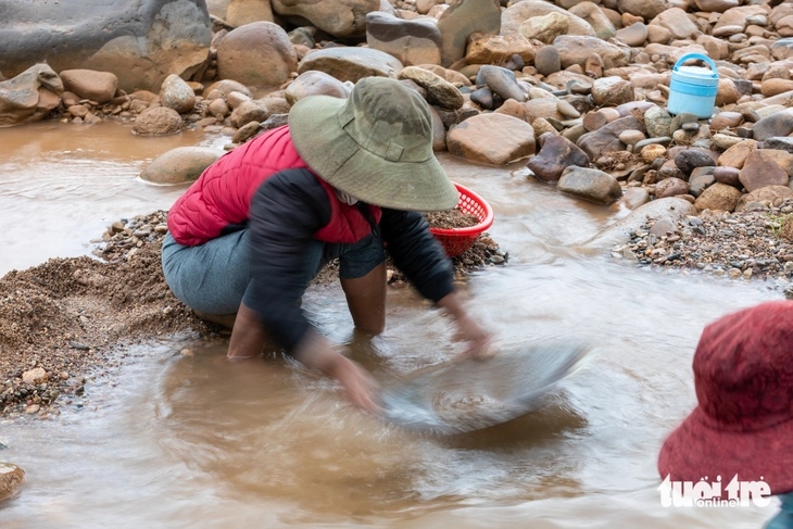 đào đãi vàng - Ảnh 1.