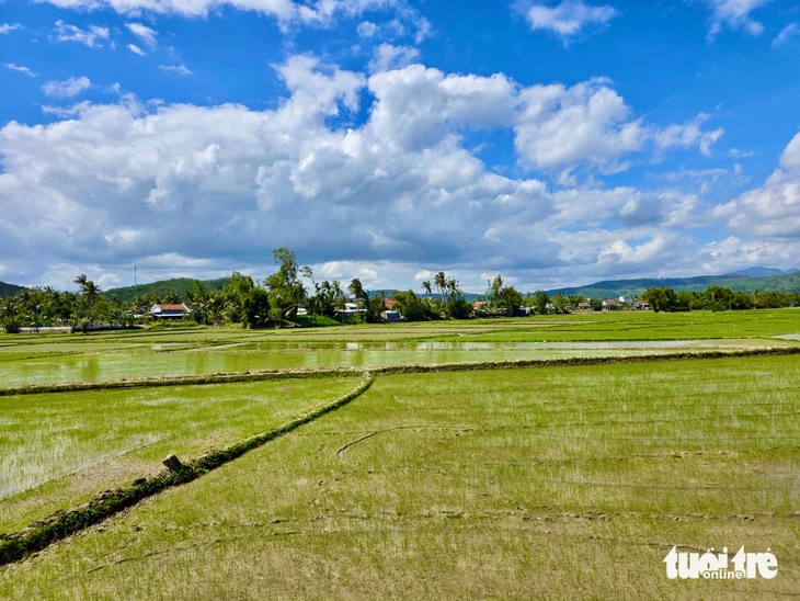 đập dâng Tam Giang - Ảnh 3.
