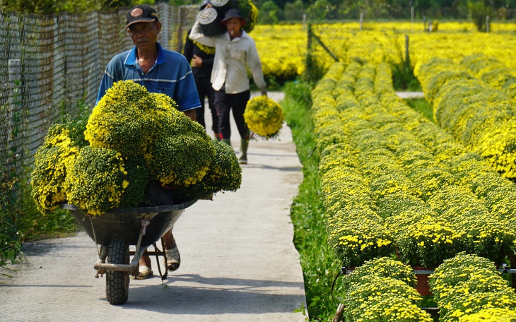 Áo dài Tết vào 'đường đua' sớm, người mua thắt chặt hầu bao - Ảnh 4.