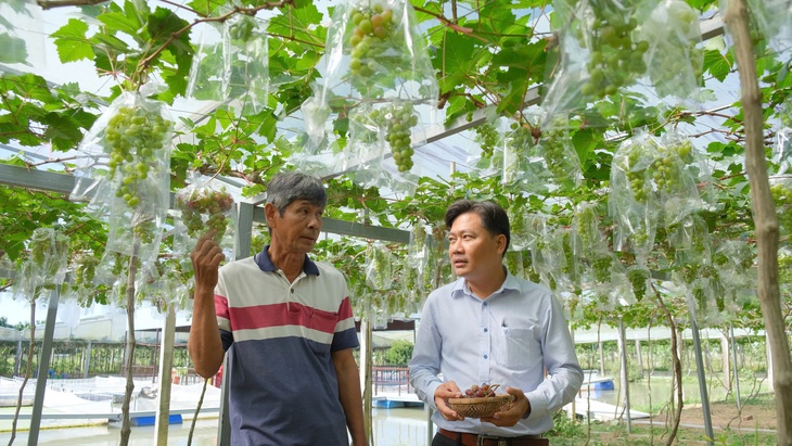 Du lịch cộng đồng gắn với phát huy giá trị lịch sử địa phương - Ảnh 3.