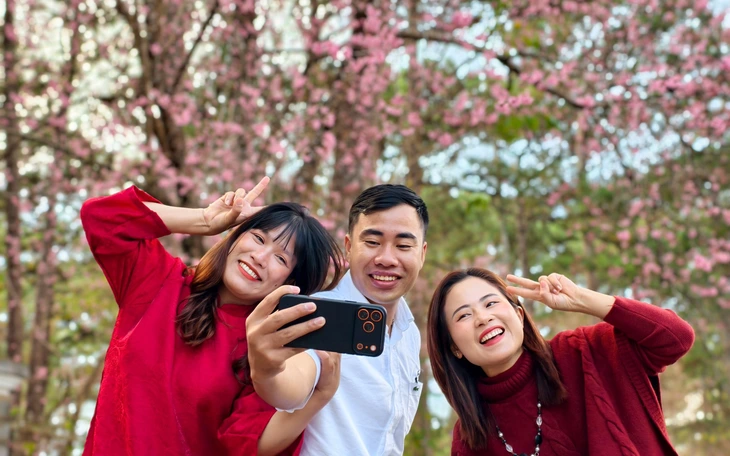 Một ngôi trường nhuộm hồng mai anh đào ở Đà Lạt - Ảnh 2.